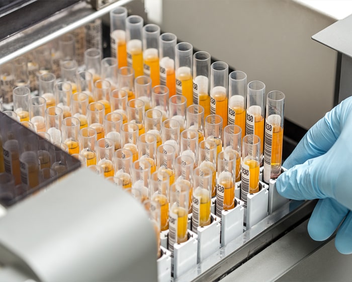 QUALITY FORMULATIONS